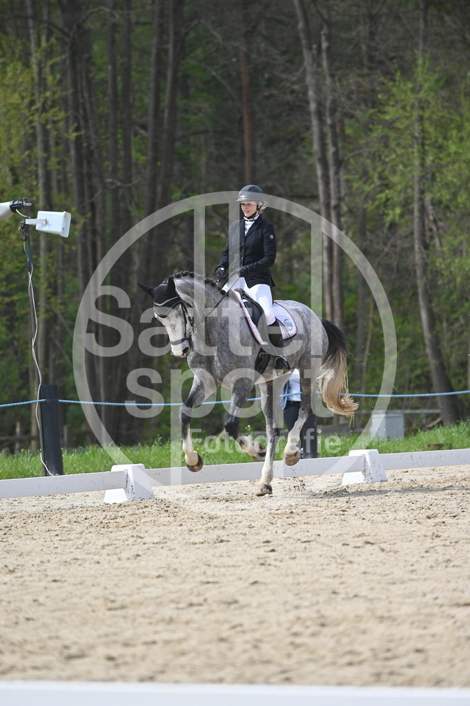 DSC_3591 | sattelsport - Realisiert mit Pictrs.com