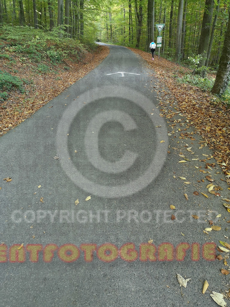221030_0751_2022-10-30_07.51.04 | Sportfotografie im Rhein-Sieg Kreis, Köln, Bonn, NRW, Rheinland Pfalz, Hessen, etc. Unser Tätigkeitsfeld umfasst den Laufsport vom Volkslauf über den Marathon, Duathlon, Triathon bis zum Ultralauf wie Kölnpfad Ultra oder Schindertrail.