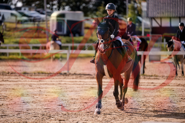 2026_10_03_Siefer-Hof_143651_Z81_05512628 | Professionelle Reitsport-, Turnier- und Eventfotografie von Robert Broda. Galerien mit ausgewählten und bearbeiteten Bildern direkt online ansehen und bestellen.