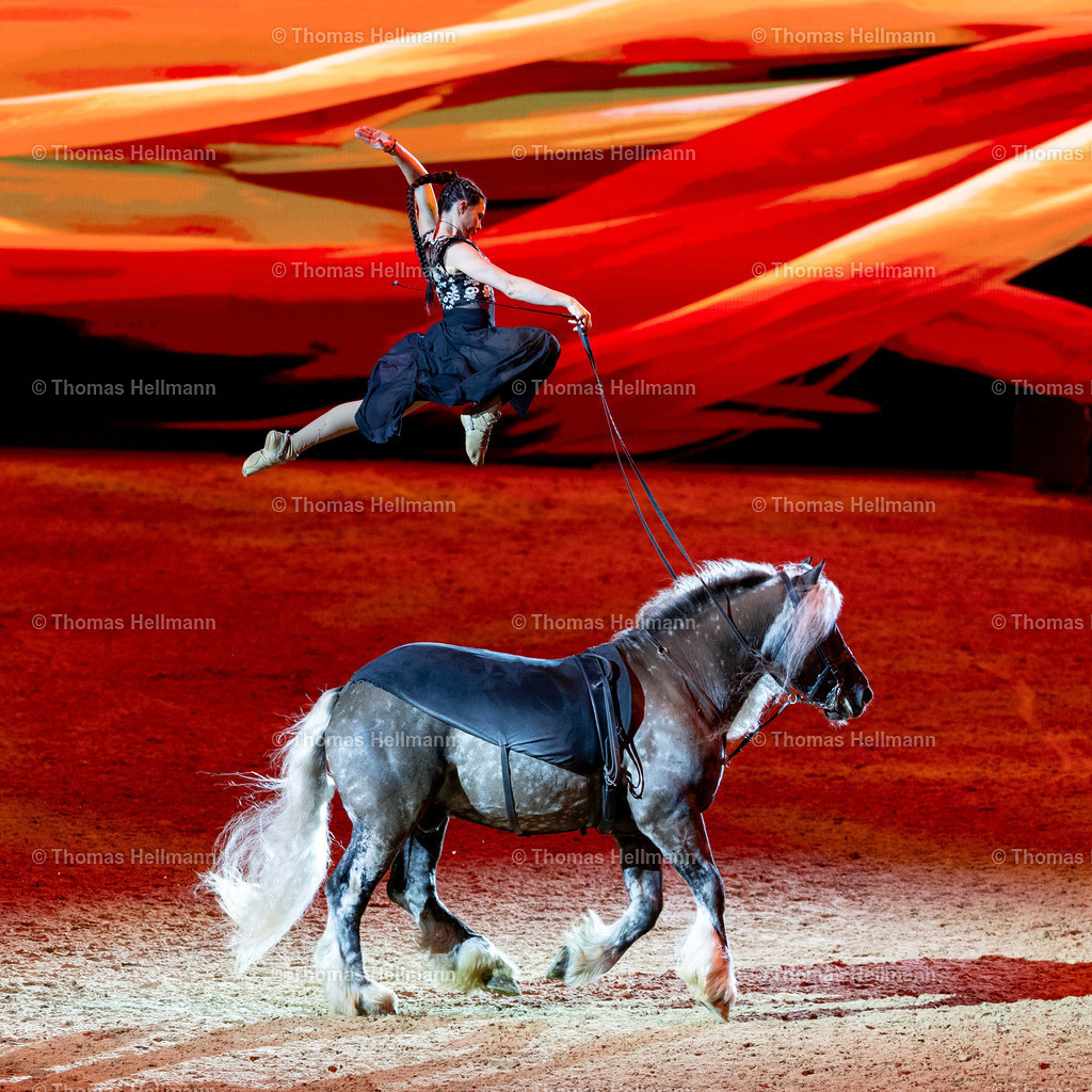 TH_Hop Top Show_26989 | EQUITANA 2025 am 09.03.25 in Essen