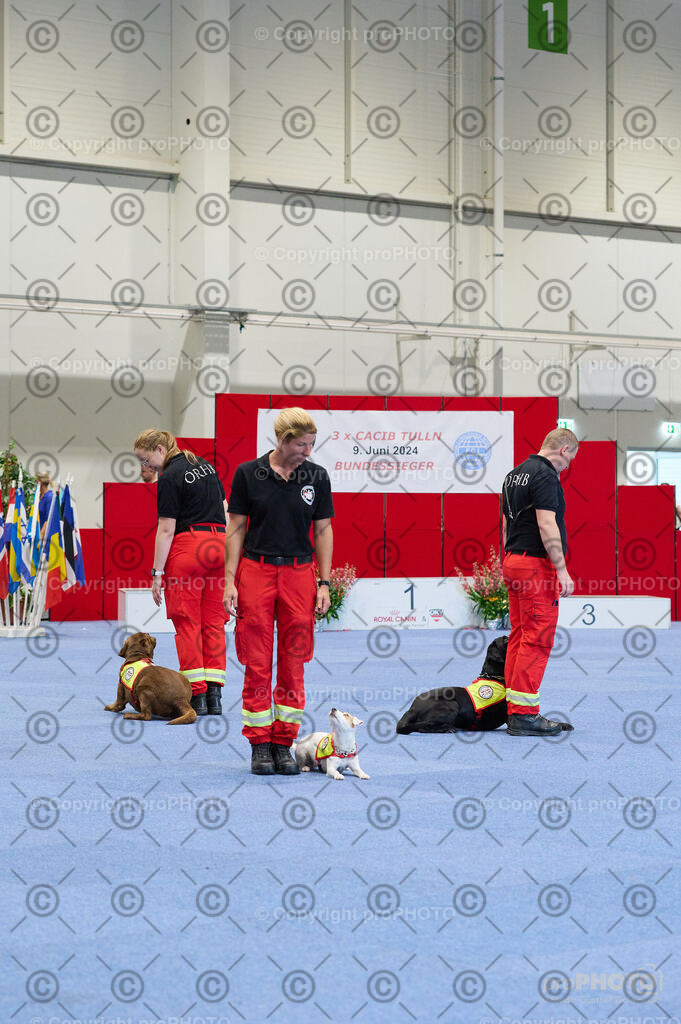 202406_ÖKV-IHA-Tulln24_DSC_4775 | proPHOTO - Realisiert mit Pictrs.com