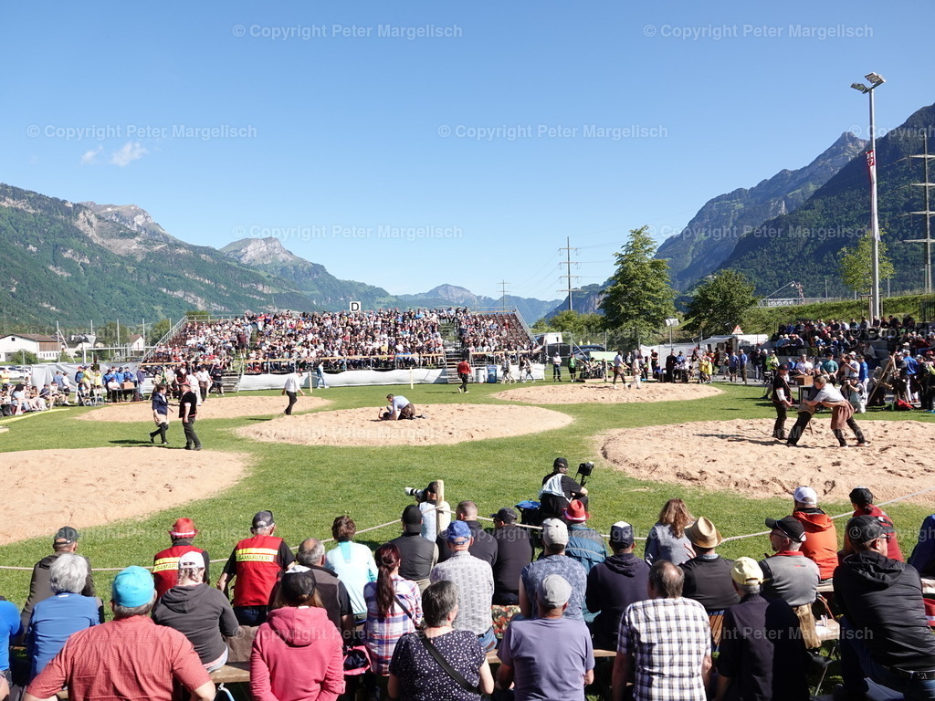 DSC07382 | Schwingen - Realisiert mit Pictrs.com