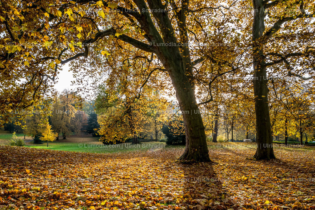10049-4610 - Schloßpark Ballenstedt | Stockfoto und Bilderpool mit Bildmaterial aus Deutschland, dem Harz, Halberstadt, Quedlinburg, Wernigerode und weltweit. Qualitativ hochwertige und professionelle Fotos anschauen und kaufen. - Realisiert mit Pictrs.com