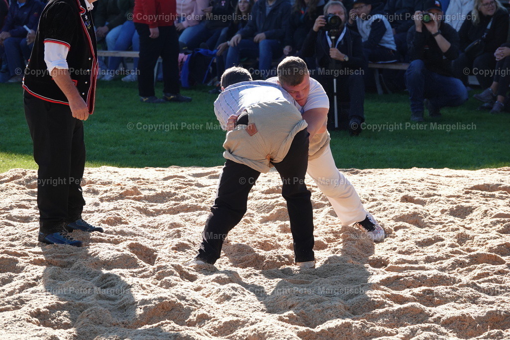 DSC01965 | Schwingen - Realisiert mit Pictrs.com
