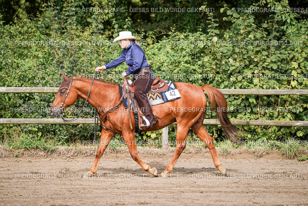 DSC00262 | Pferdegrafie