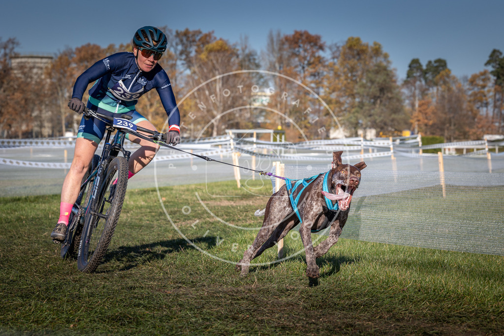 CaniXpix_0L8A4825 | Hundefotografie, Tierfotograf, Pfotenfotografie, Fotoshooting Hund, Hunde Portrait, Hundesport, Hundeportraits, Heideshooting, Hunde, Sportfotograf, Hundefotograf, Turnierhundsport, THS,  - Realisiert mit Pictrs.com