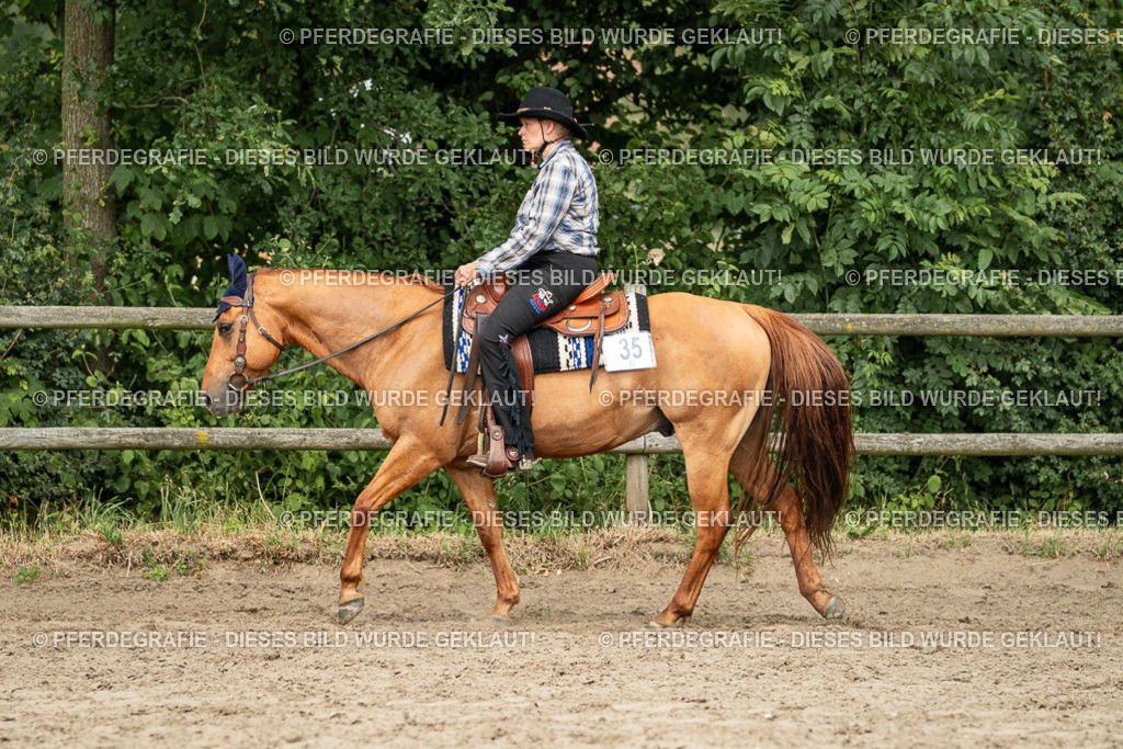 DSC03101 | Pferdegrafie