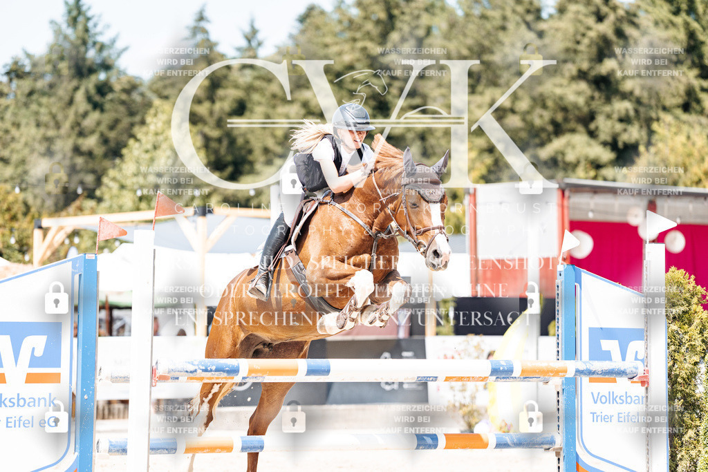 CK900984 | Turnierfotografie Pferdefotografie Trier Rheinland-Pfalz Pferdesport Reitsport Tierfotografie Sportfotografie Pferdevideo Pferdevideografie Equestrianvideography equestrianphotography  - Realisiert mit Pictrs.com