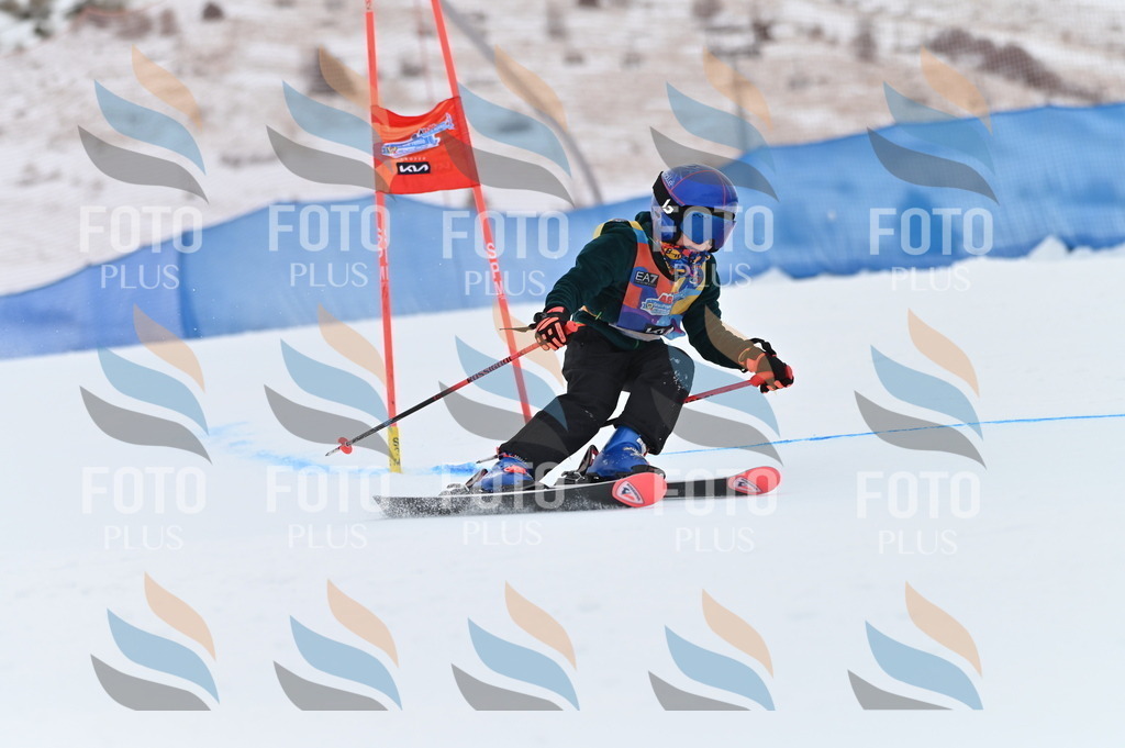 BGV_9575 | holidayphoto