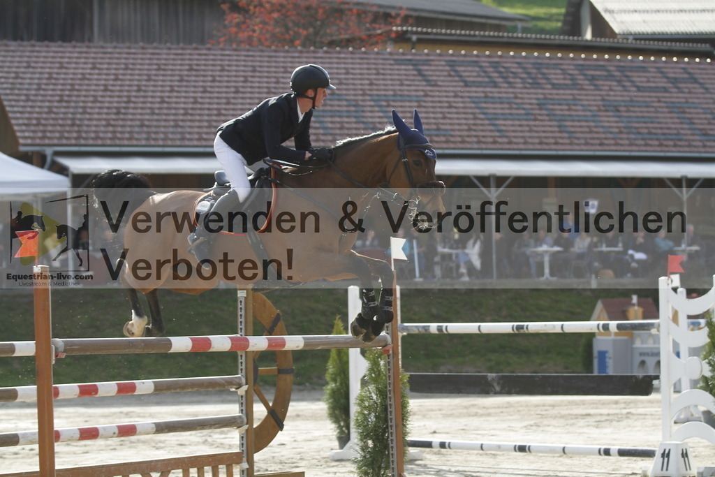 _MG_1187 | equestrian-live-com