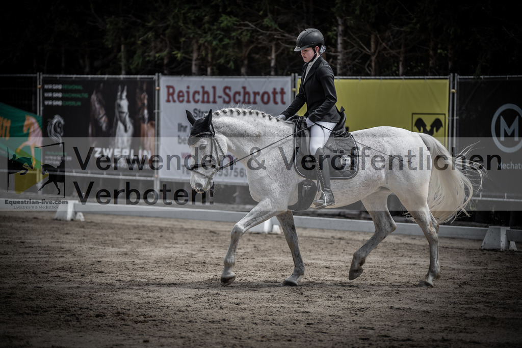 DSC_9791 | equestrian-live-com