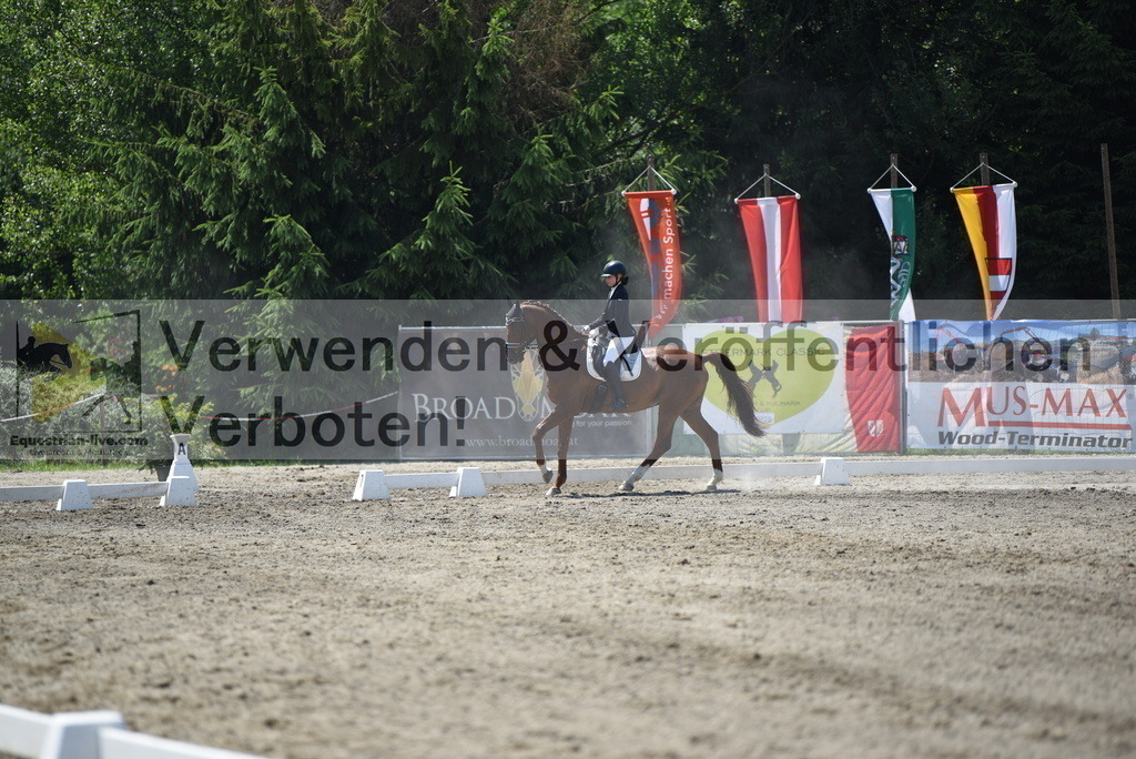 DSC_0964 | equestrian-live-com