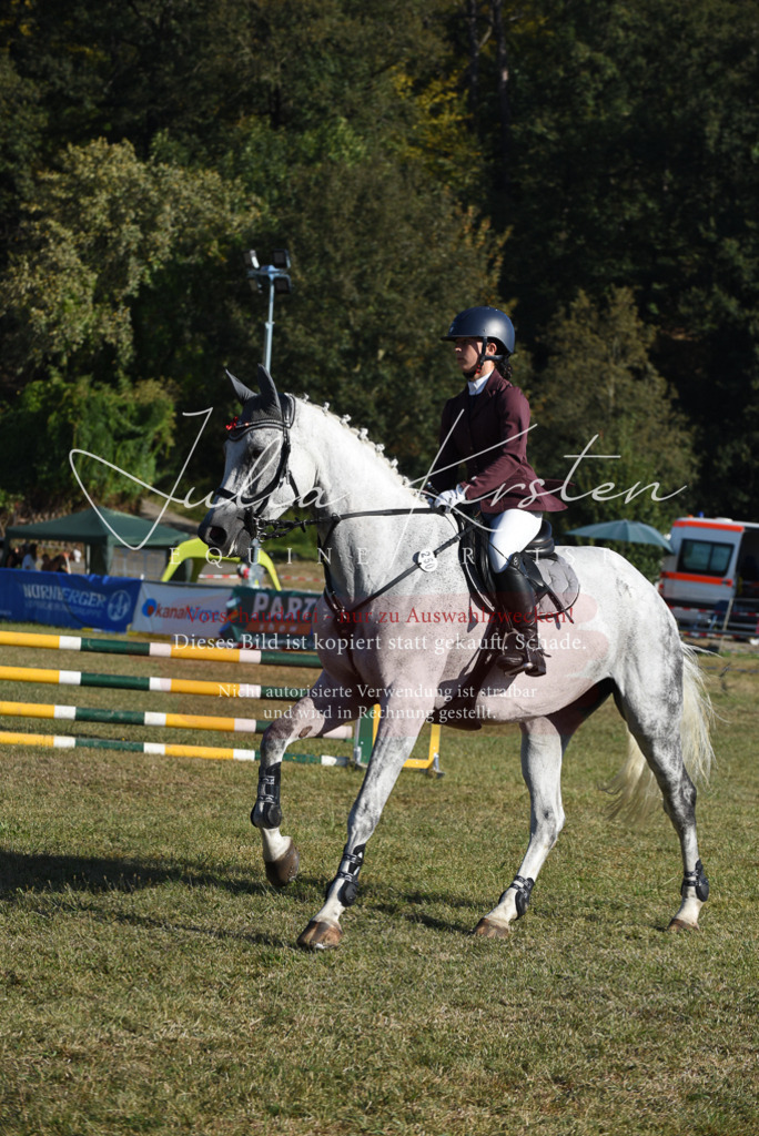 DSC_5257 | Pferde- und Turnierfotografie in Westsachsen. Pferdeportraits, Auftragszeichnungen und intuitive Kunst.