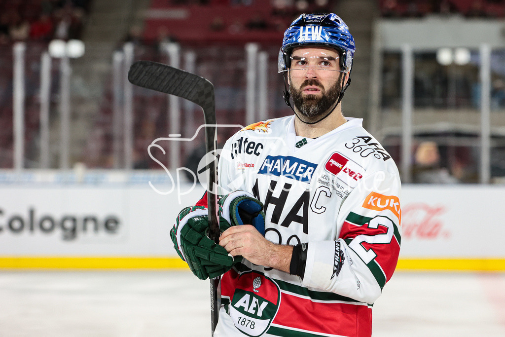 Kölner Haie - Augsburger Panther | Braden LAMB (AEV #2) in Aktion