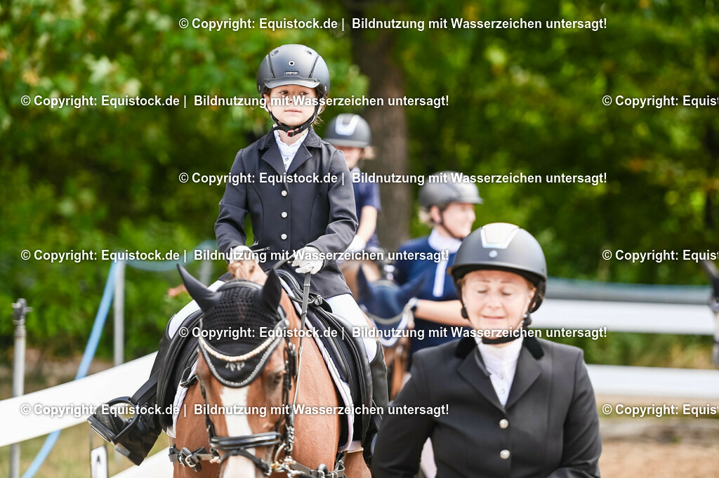 20230716_11_Führzügel-WB_0168 | equistock