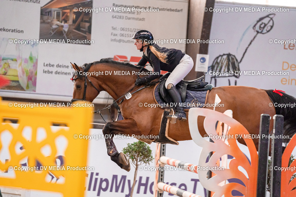 Kranichstein II Tag 1-739 | dv-media-shop - Realisiert mit Pictrs.com