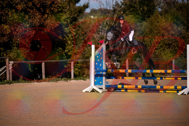 2026_10_03_Siefer-Hof_171914_Z81_17338673 | Professionelle Reitsport-, Turnier- und Eventfotografie von Robert Broda. Galerien mit ausgewählten und bearbeiteten Bildern direkt online ansehen und bestellen.