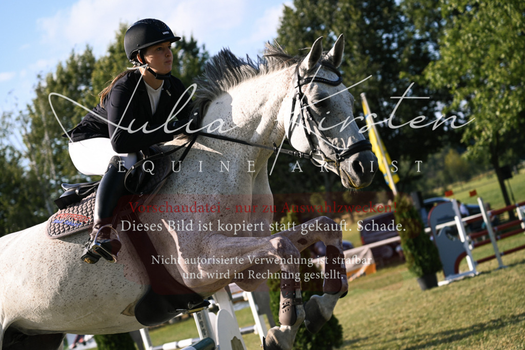 DSC_1738 | Pferde- und Turnierfotografie in Westsachsen. Pferdeportraits, Auftragszeichnungen und intuitive Kunst.