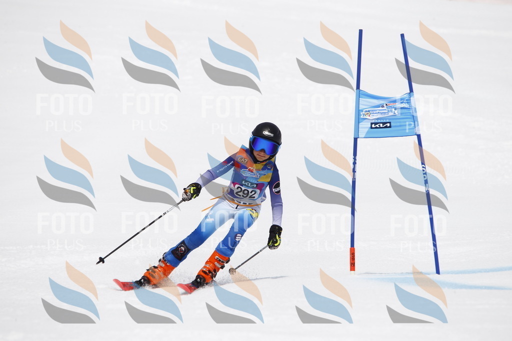 _U3G7288 | holidayphoto