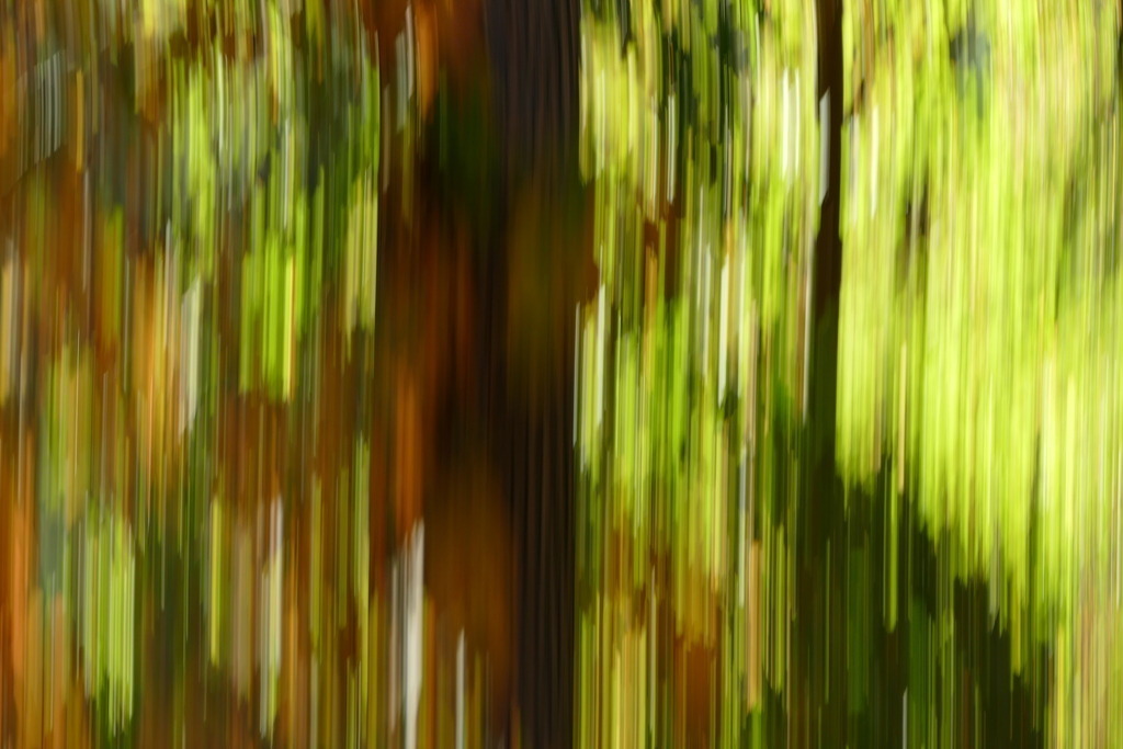 P4030455 | Annaeherungen - Realisiert mit Pictrs.com