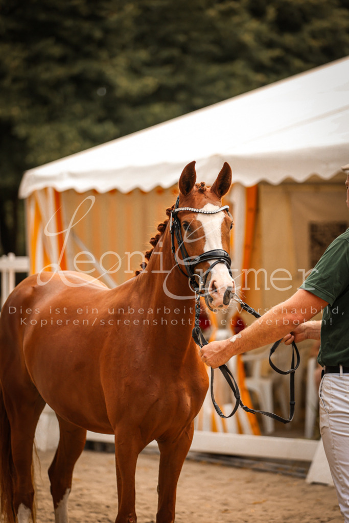 11.So00124 | Leoni Ertmer Photography - Realisiert mit Pictrs.com