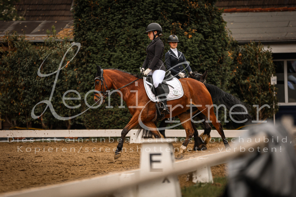 DoDrE00292 | Leoni Ertmer Photography - Realisiert mit Pictrs.com