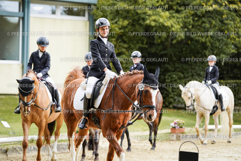 DSC05658 | Pferdegrafie