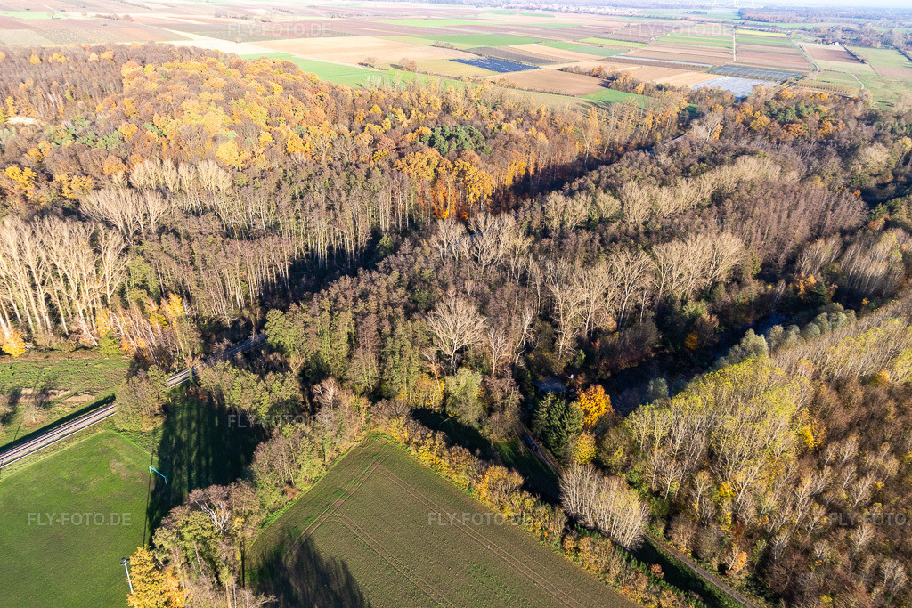 Luftbild: Billigheimer Bruch, Horbachtal zwischen Barbelroth, Hergersweiler und Winden in Barbelroth im Bundesland Rheinland-Pfalz in Deutschland. Foto: IMG_123884.jpg vom 21.11.2020 durch Werner Riehm/FLY-FOTO.de