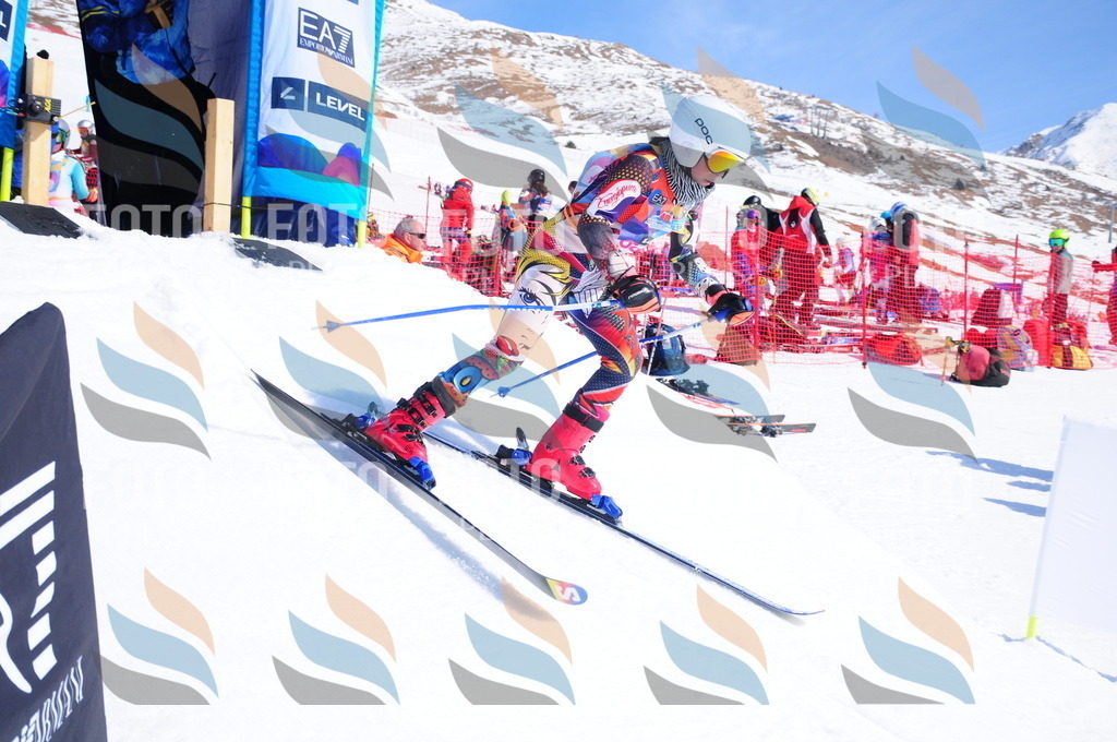 DSC_4559 | holidayphoto