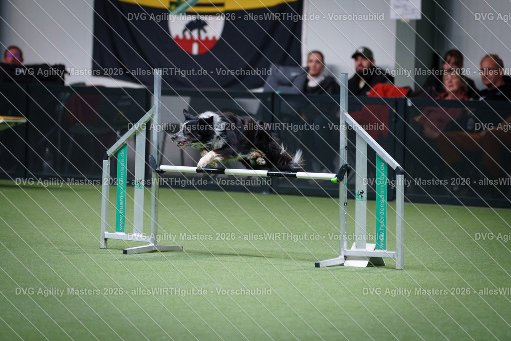 allesWIRTHgut_Tierfotografie-DVG_Agility_Masters_2026-15_43-7R506847 | Professionelle Tierfotografie in Mönchengladbach von Daniel Wirth (allesWIRTHgut). Liebevolle & natürliche Bilder von Hunden & Katzen für unvergessliche Erinnerungen.