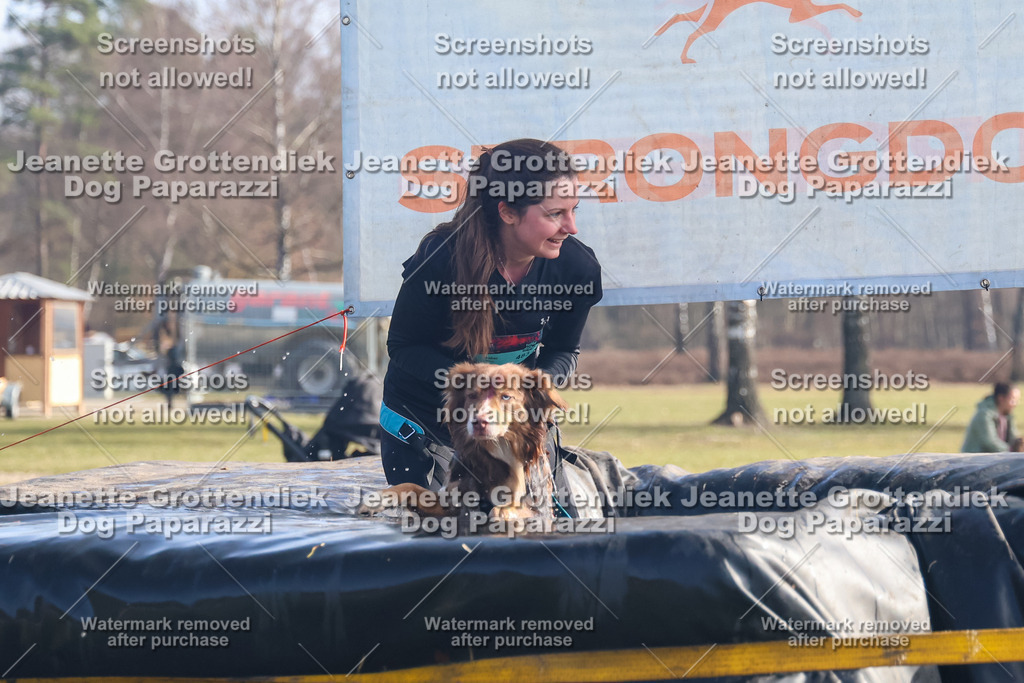 Dog Paparazzi - Strongdog North Mrz26-892 | Dog Paparazzi Jeanette Grottendiek Fotografie & Videografie - Realisiert mit Pictrs.com