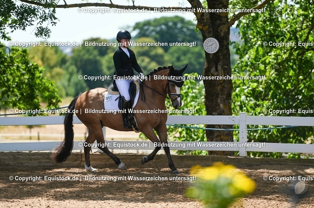 20230715_09_Dressur-WB_0341 | equistock