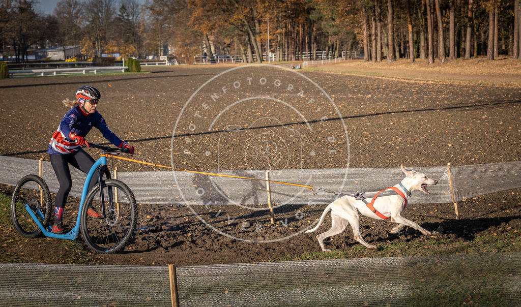 CaniXpix_DV3A2163 | Hundefotografie, Tierfotograf, Pfotenfotografie, Fotoshooting Hund, Hunde Portrait, Hundesport, Hundeportraits, Heideshooting, Hunde, Sportfotograf, Hundefotograf, Turnierhundsport, THS,  - Realisiert mit Pictrs.com