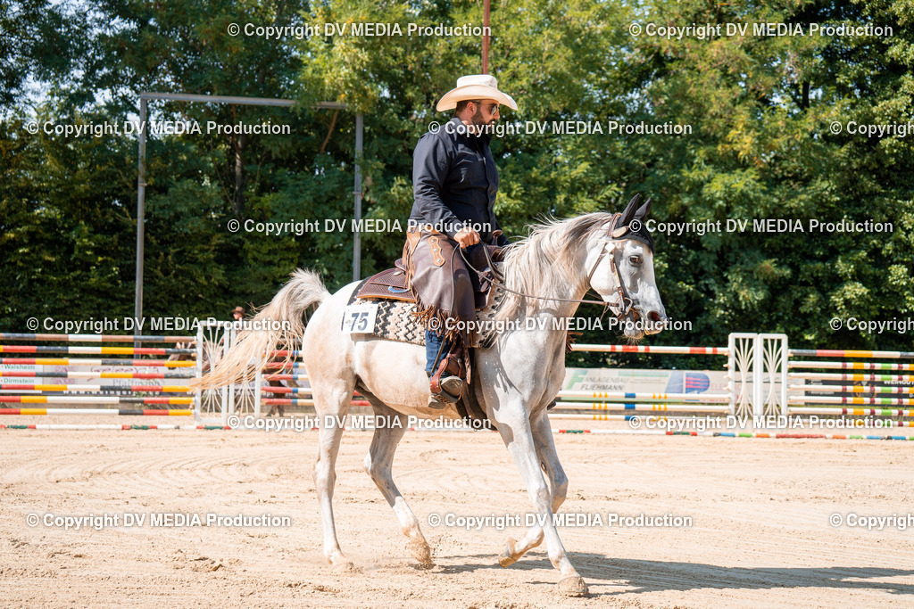 ZH100220 | dv-media-shop - Realisiert mit Pictrs.com