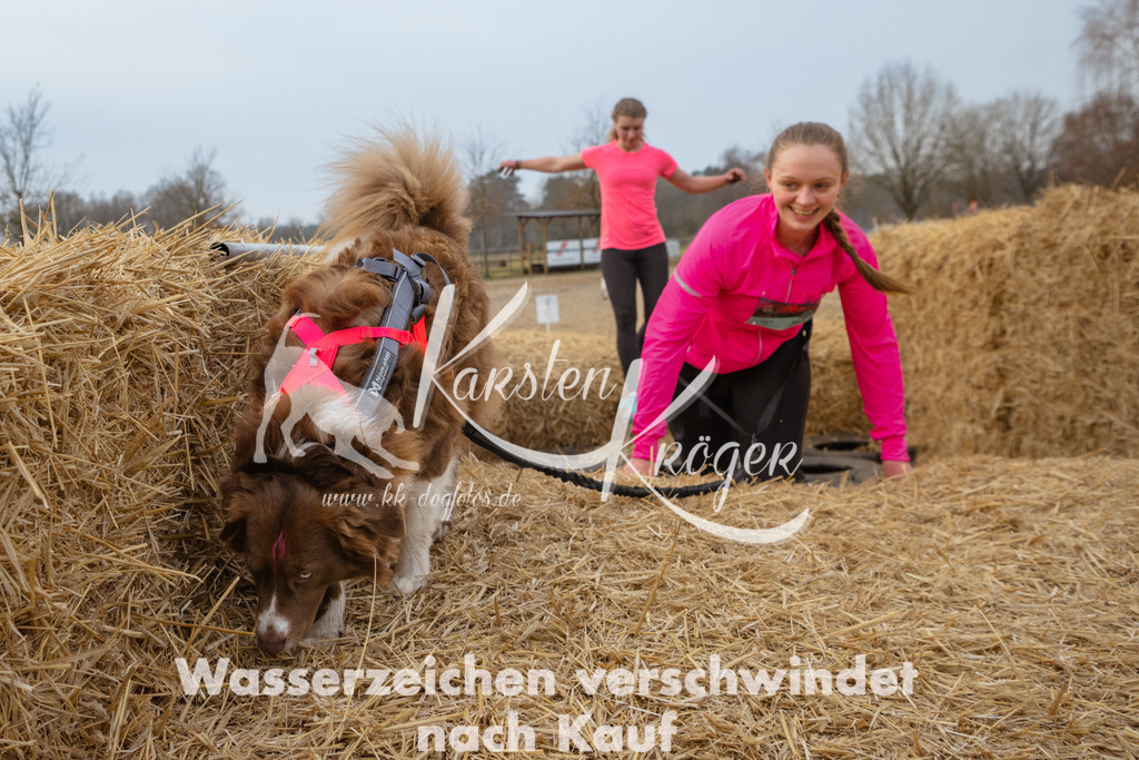 0901_ZZ96084 | kk-dogfotos