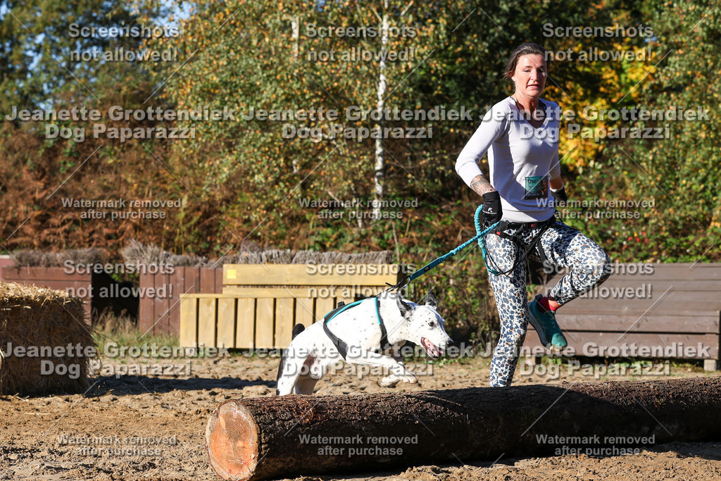 Dog Paparazzi - Strongdog 10-25-1557 | Dog Paparazzi Jeanette Grottendiek Fotografie & Videografie - Realisiert mit Pictrs.com