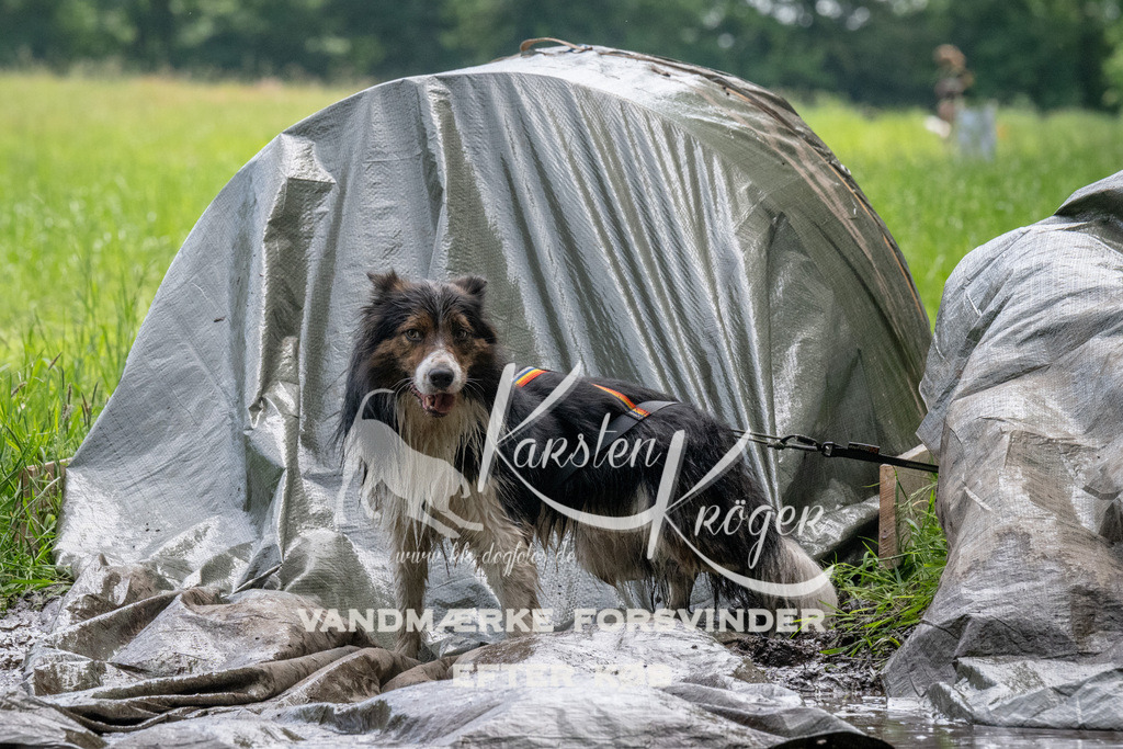 1127_ZZ93044 | kk-dogfotos