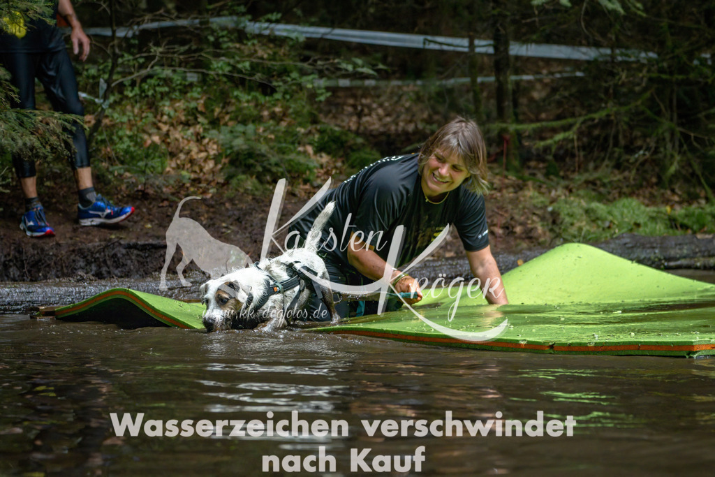 1512_ZZ94727-Bearbeitet | kk-dogfotos