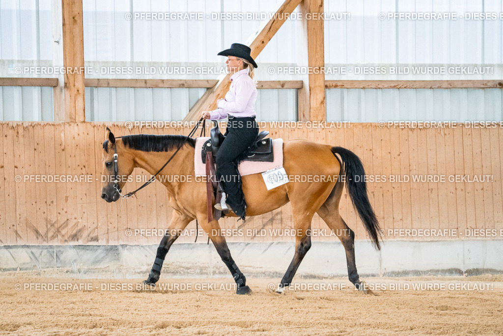 DSC09896 | Pferdegrafie