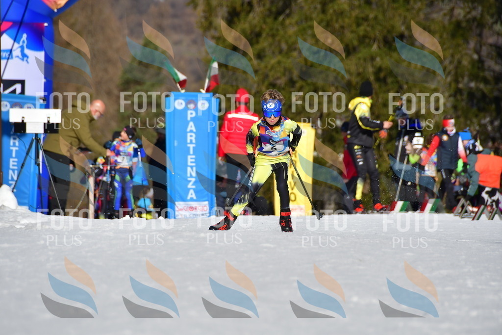 _DSC8619 | holidayphoto