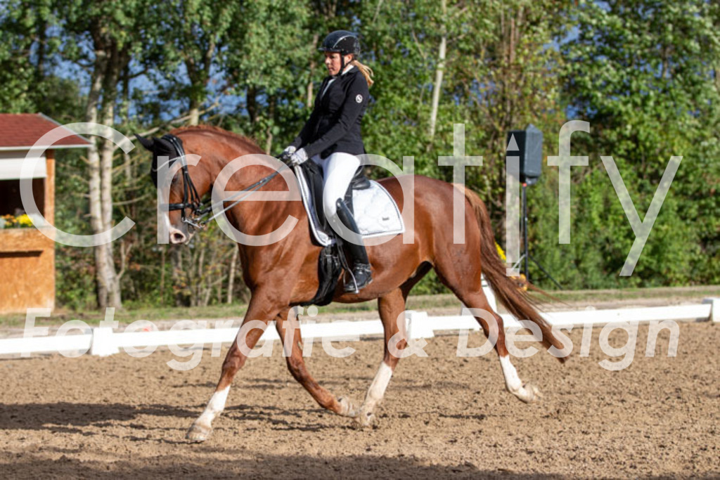 IMG_6184 | Creatify Fotografie