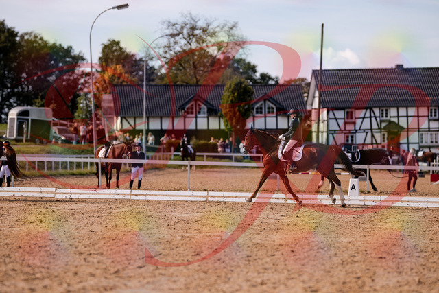 2026_10_03_Siefer-Hof_133119_Z81_84740615 | Professionelle Reitsport-, Turnier- und Eventfotografie von Robert Broda. Galerien mit ausgewählten und bearbeiteten Bildern direkt online ansehen und bestellen.