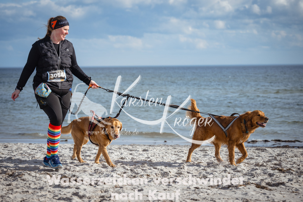 1344_ZZ93057 | kk-dogfotos