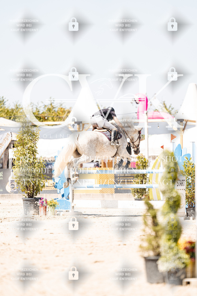 CK909923 | Turnierfotografie Pferdefotografie Trier Rheinland-Pfalz Pferdesport Reitsport Tierfotografie Sportfotografie Pferdevideo Pferdevideografie Equestrianvideography equestrianphotography  - Realisiert mit Pictrs.com