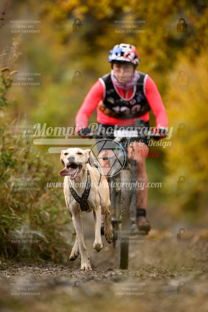 MompixPhotography_ICF_WC_2024_SA_Bike_-137 | PayLife
