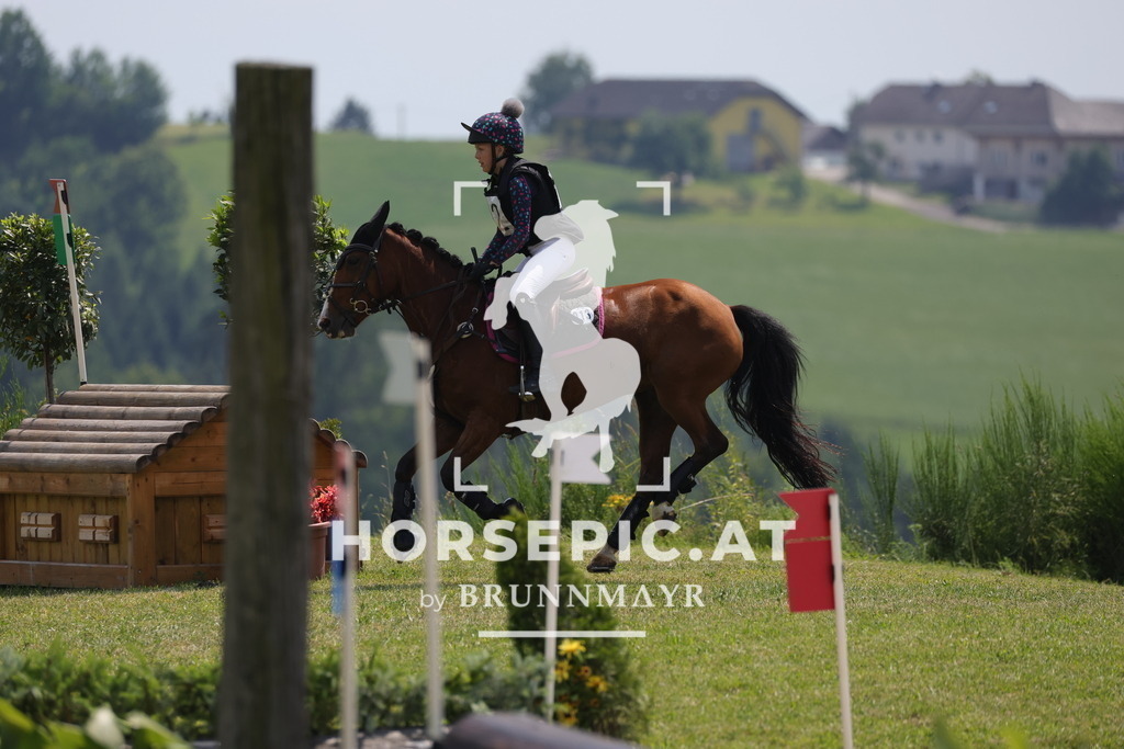 0P6A8711 | Willkommen bei Brunnmayr - Design & Fotografie – Ihrem Spezialisten für Reitturniere und Pferdeveranstaltungen in Oberösterreich, Salzburg und Bayern! Seit über 17 Jahren sind wir leidenschaftlich dabei.