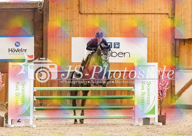 20260221_03_Springpferdeprfg KlL115-9 | JS-Photostyle - Sport-/Portrait- & Eventfotografie