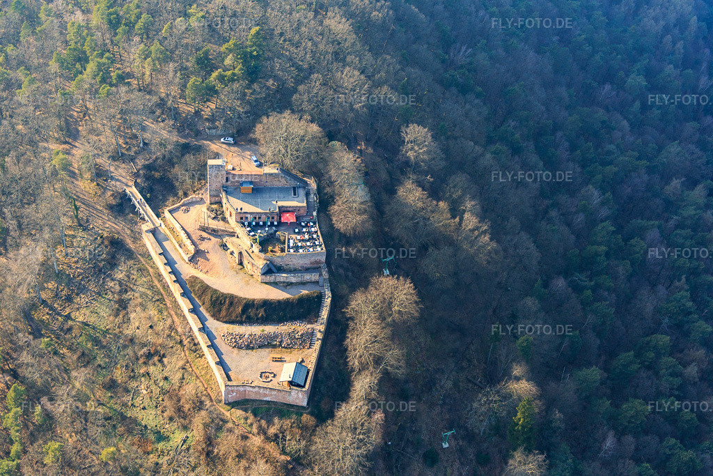 Luftbild: Burgruine Rietburg in Rhodt unter Rietburg im Bundesland Rheinland-Pfalz in Deutschland. Foto: IMG_086490.jpg vom 18.03.2016 durch Werner Riehm/FLY-FOTO.de