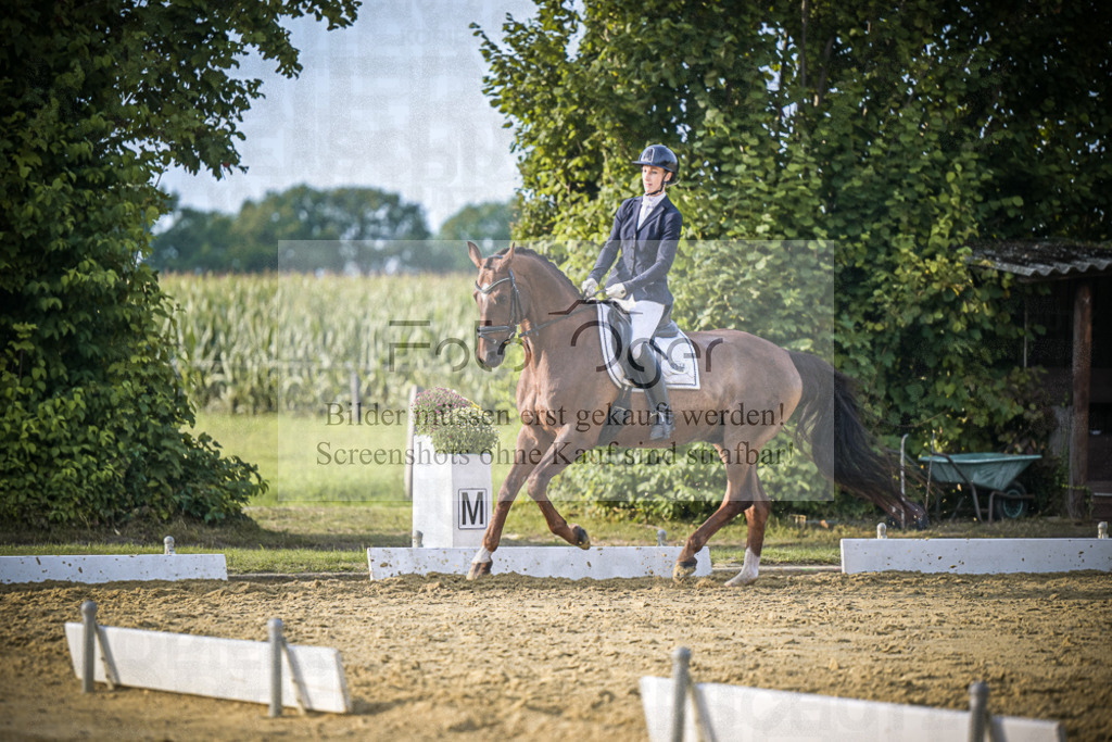 DOS_1296 | Entdecke hochwertige Reitturnierfotos von Foto Oger. Professionell, emotional und authentisch – jetzt Lieblingsmomente im Shop bestellen.Deutschlandweite Turnierfotografie. - Realisiert mit Pictrs.com