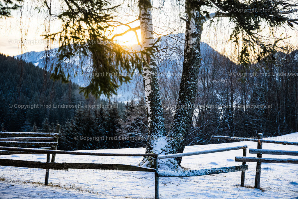 Mariazell Basilika Morgennebel Stehralm 3112020-0503 | Fotos und Fotoprodukte - Realisiert mit Pictrs.com